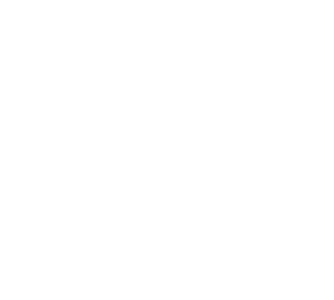 GitHub logo