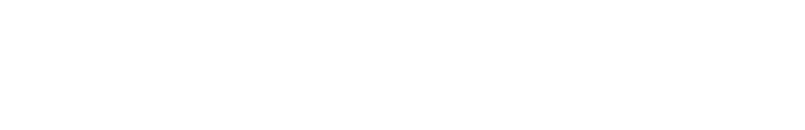 Wispr Flow logo
